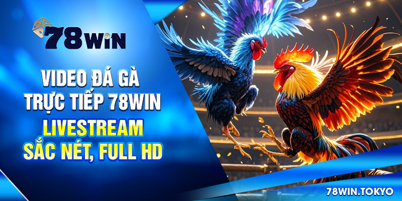 Video Đá Gà Trực Tiếp 78WIN - Livestream Sắc Nét, Full HD 6 Video Đá Gà Trực Tiếp 78win – Livestream Sắc Nét, Full HD