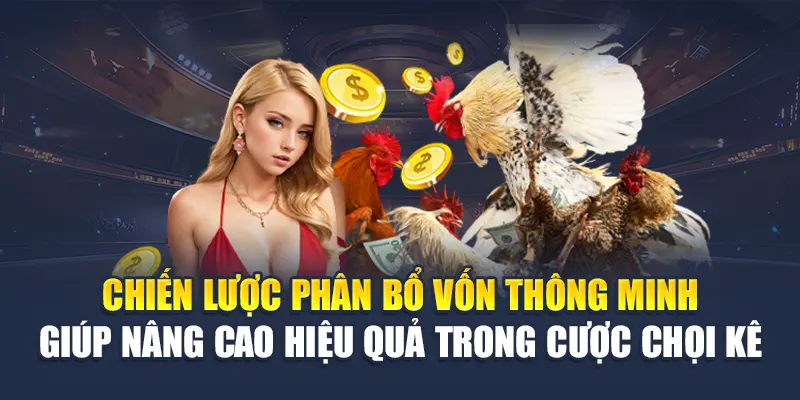 Chiến lược phân bổ vốn thông minh giúp nâng cao hiệu quả trong cược chọi kê